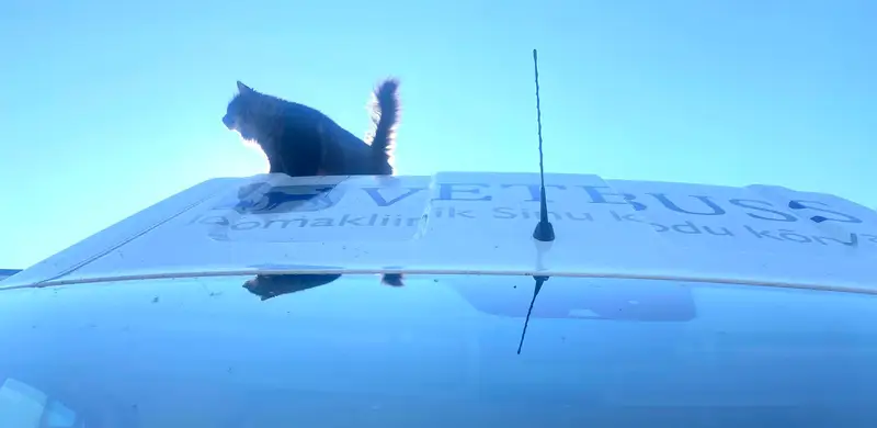 Mobiilne loomakliinik